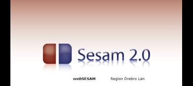 logotype websesam