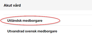 Akut vård - utländsk medborgare.png