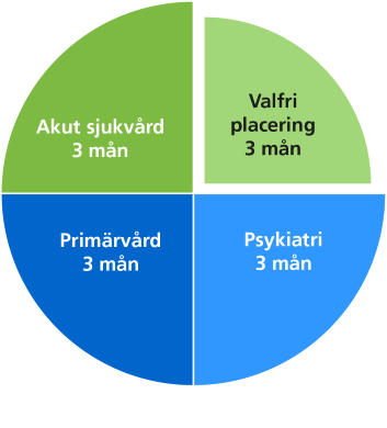 BT-placeringarna i Region Örebro län fördelas mellan akutsjukvård, primärvård och psykiatri men gör det också möjligt för valfri placering.