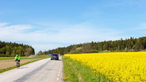 Sommarväg.