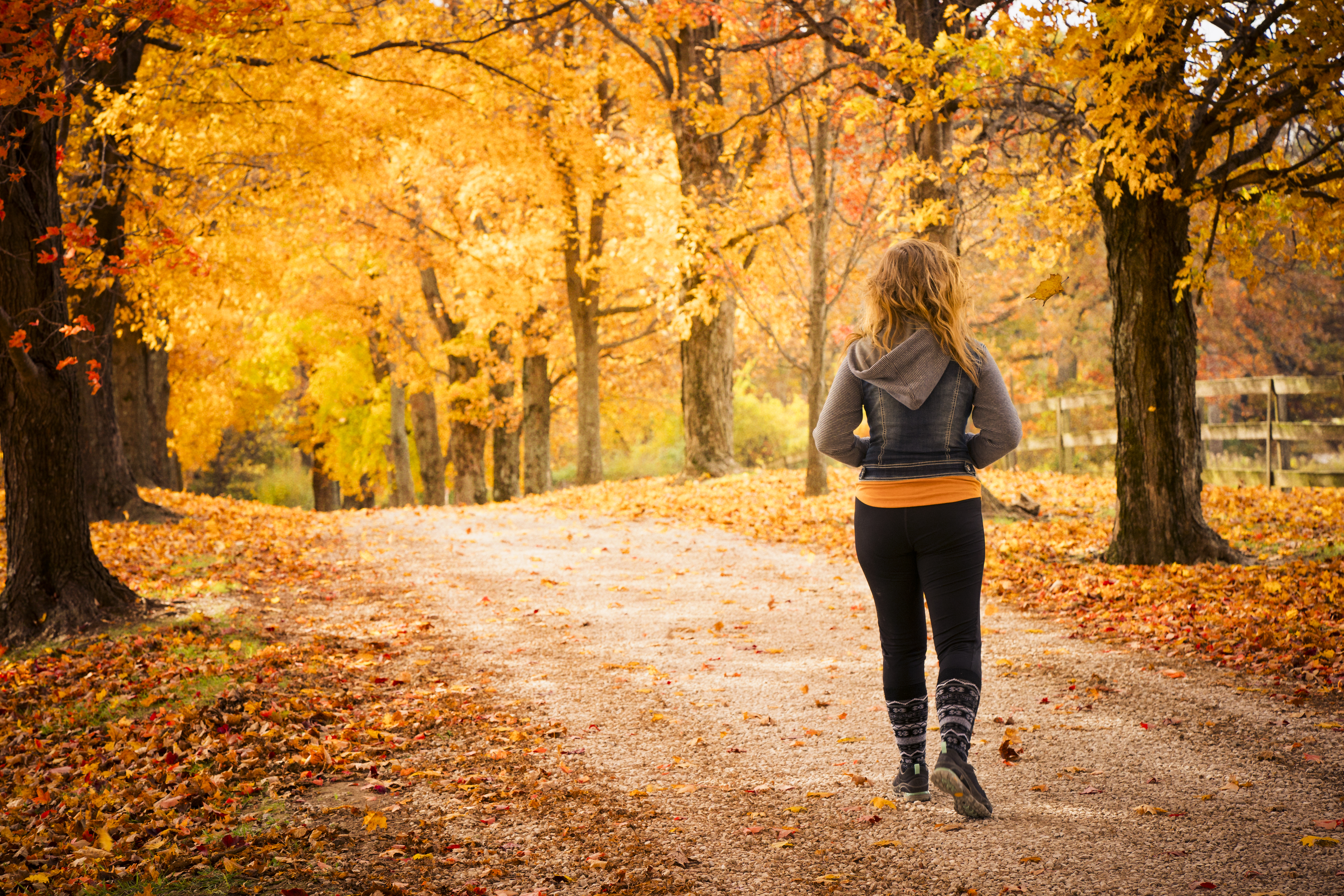 Person går på höstig skogsväg